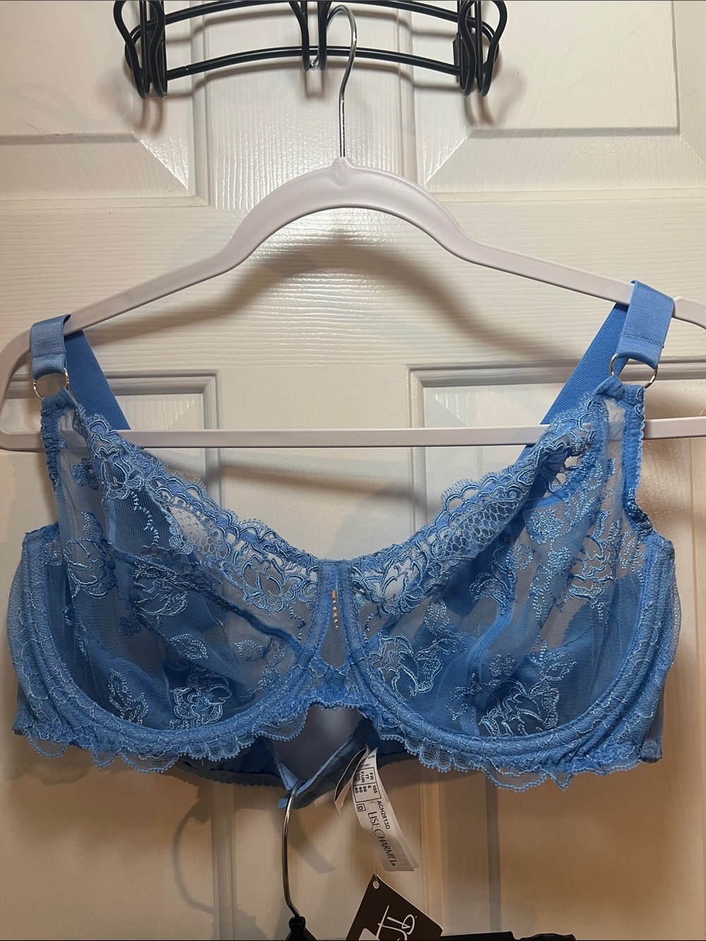 Lise Charmel Sheer Lace Demi-Cup Bra in Light Blue - Picture 5 of 7